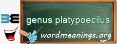 WordMeaning blackboard for genus platypoecilus